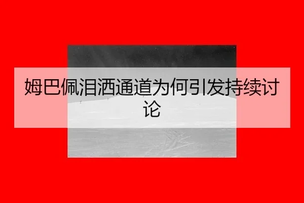 mu-ba-pei-lei-sa-tong-dao-wei-he-yin-fa-chi-xu-tao-lun-2-448.jpg